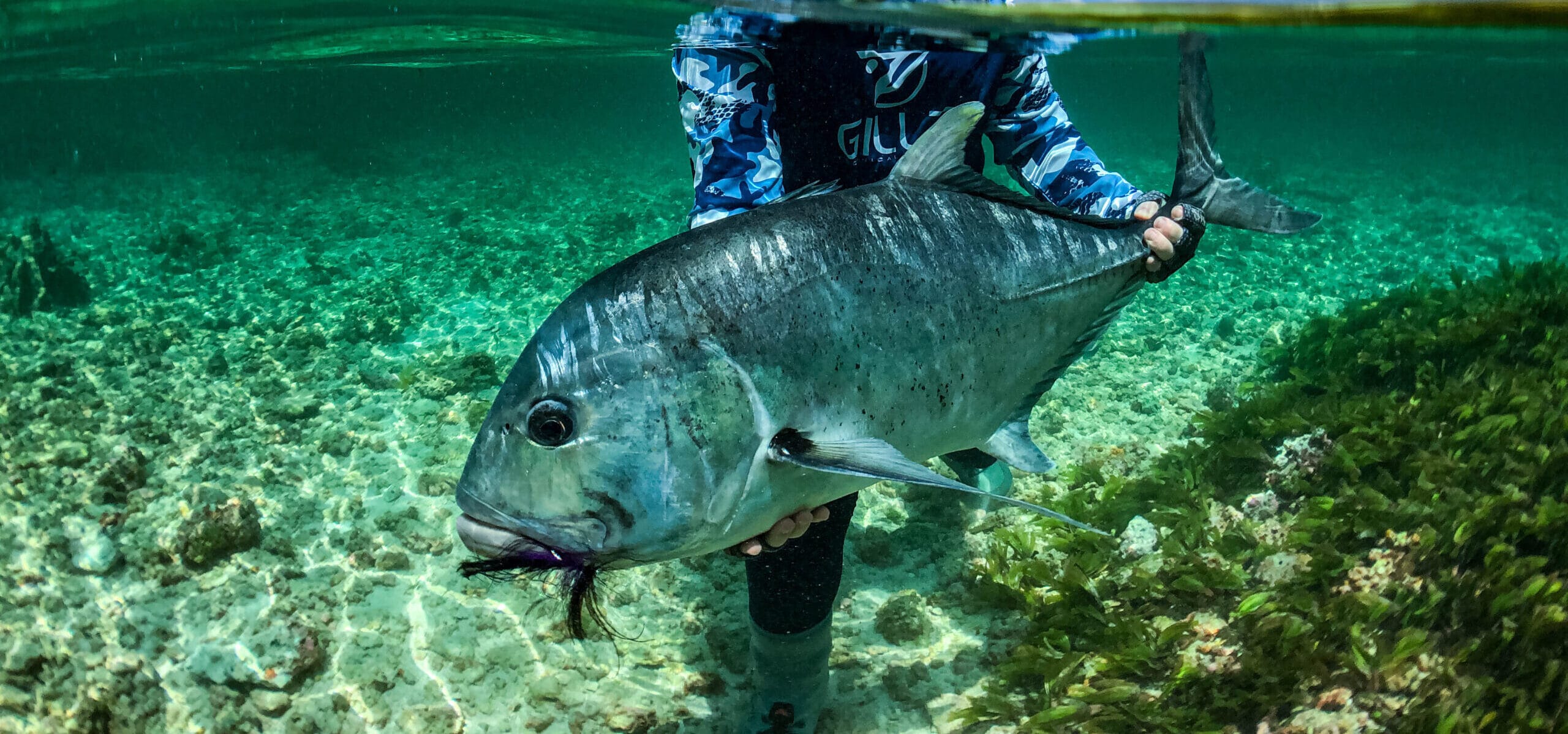 Aardvark Mcleod - For The Love of Giant Trevally