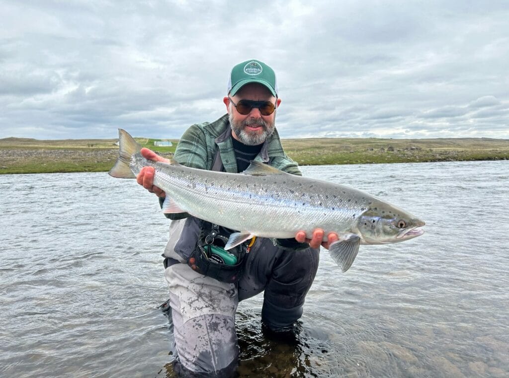 Midfjardara, Iceland, aardvark McLeod