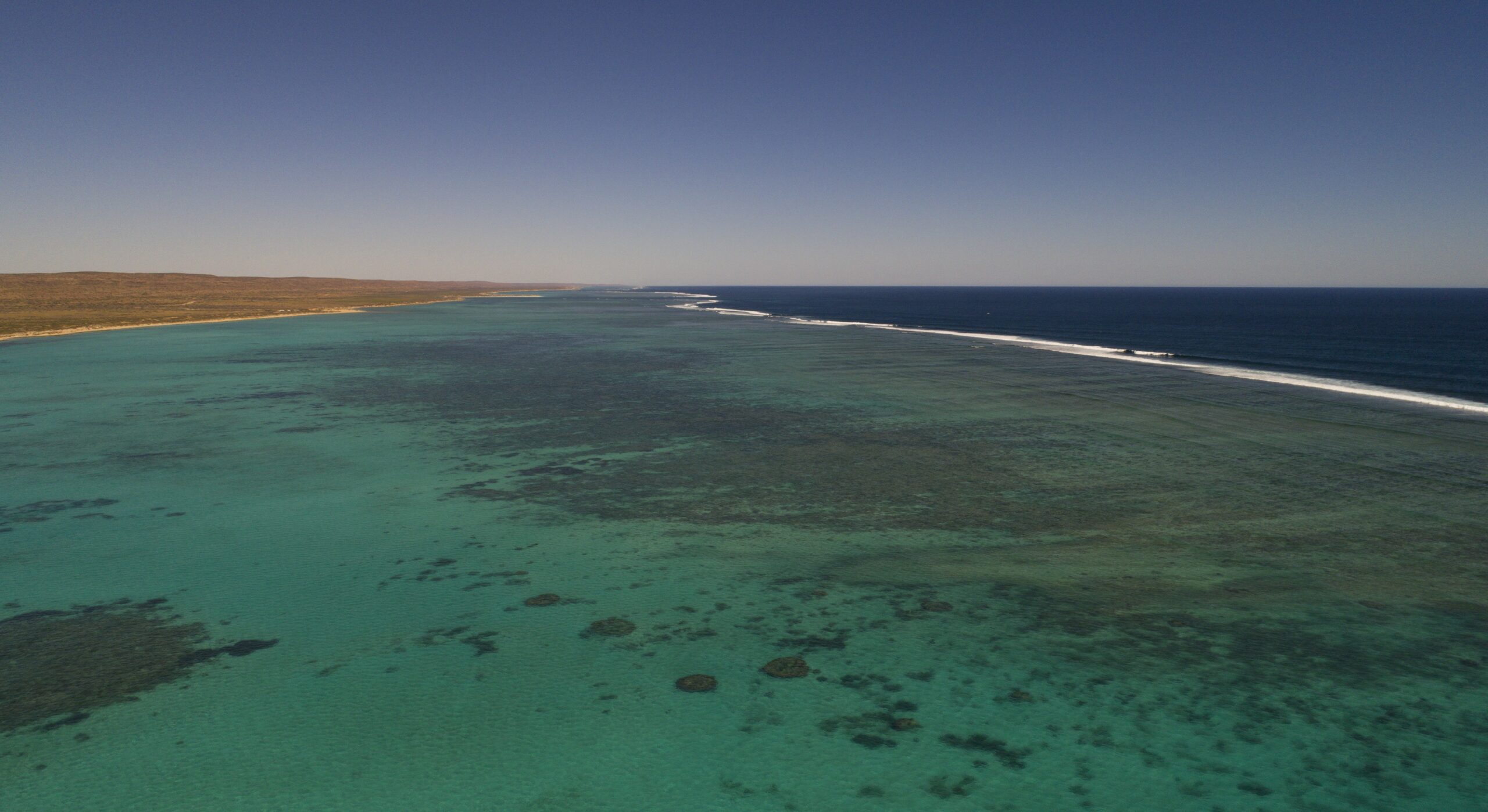 Ningaloo Reef, Exmouth, western Australia fly fishing, Aardvark McLeod