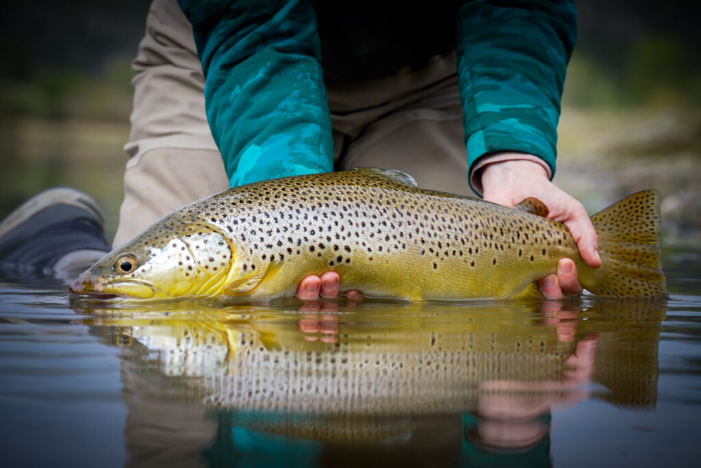 A trout bum's guide to the world. Montana Angler, Ultimate Road Trip, Aardvark McLeod