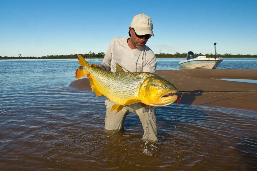Karanda Lodge, golden drado fishing, Argentina, Aardvark McLeod