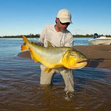 Karanda Lodge, golden drado fishing, Argentina, Aardvark McLeod