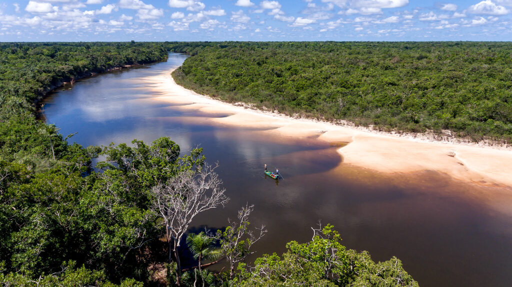 Agua Boa, Brazil, Aardvark McLeod