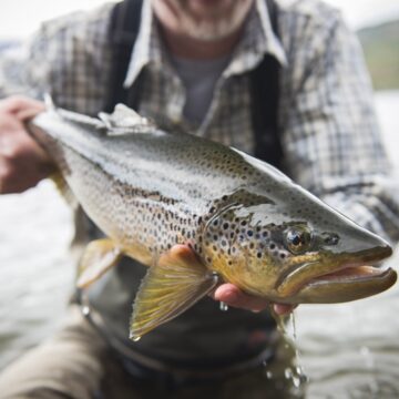 Brook Trout Base Camp, Argentina Fly Fishing, Aardvark McLeod