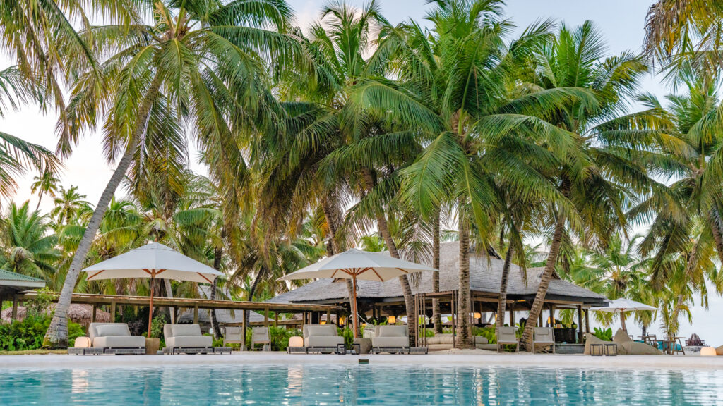 Charlotte's Alphonse Island trip report November 2024