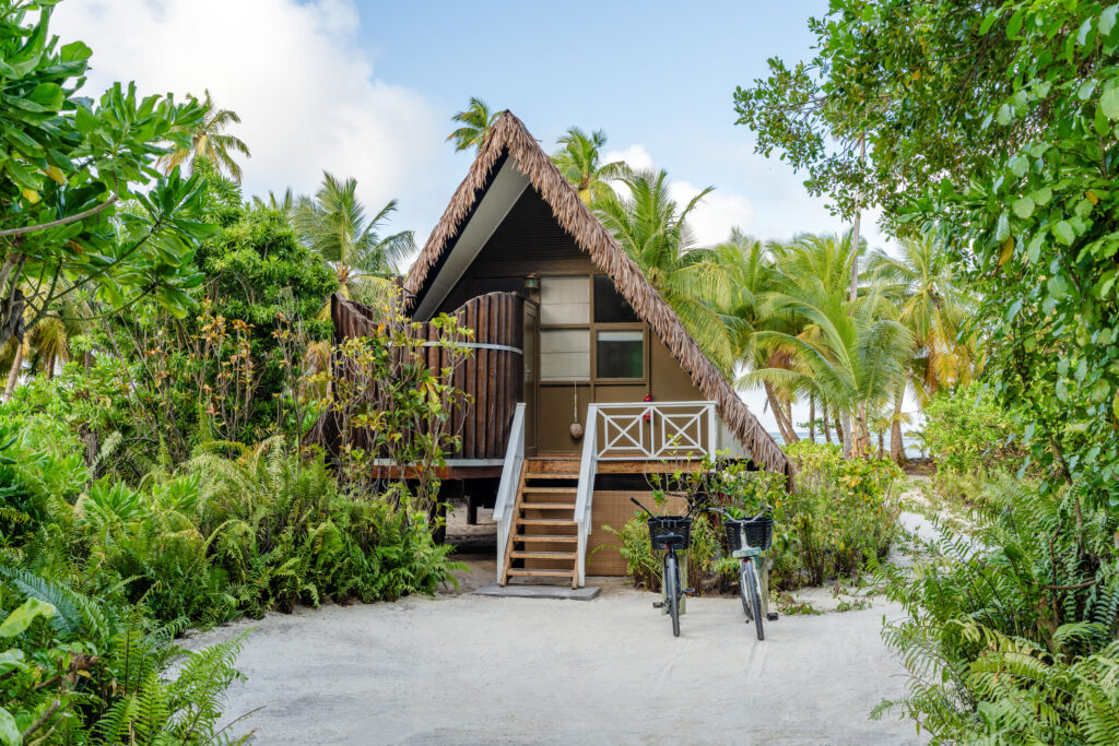 Charlotte's Alphonse Island trip report November 2024