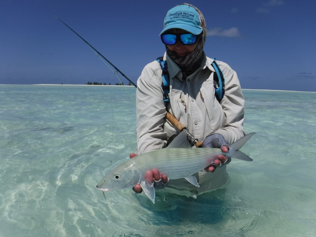 Charlotte's Alphonse Island trip report November 2024
