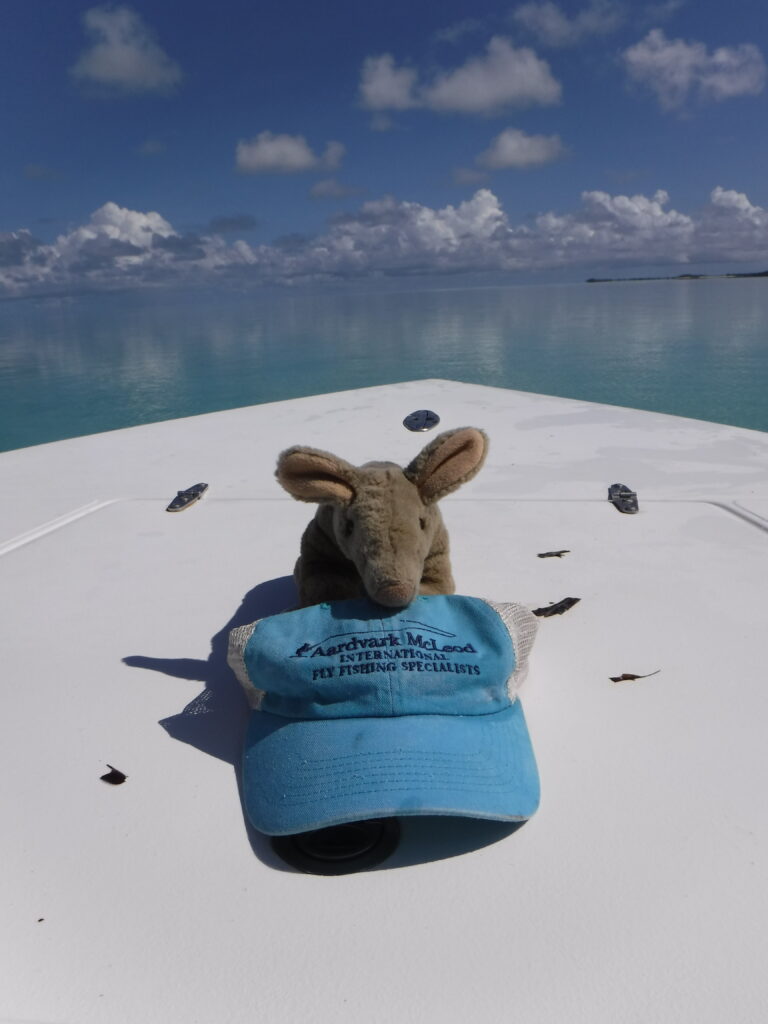 Charlotte Chilcot, Alphonse Island, Aardvark McLeod