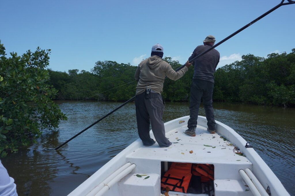Isla Holbox feedback, Aardvark McLeod 