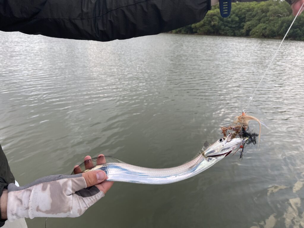 Nicaragua, Tapam 2.0 Lodge, Tarpon fly fishing, Aardvark McLeod Hosted Trip, Alex Jardine