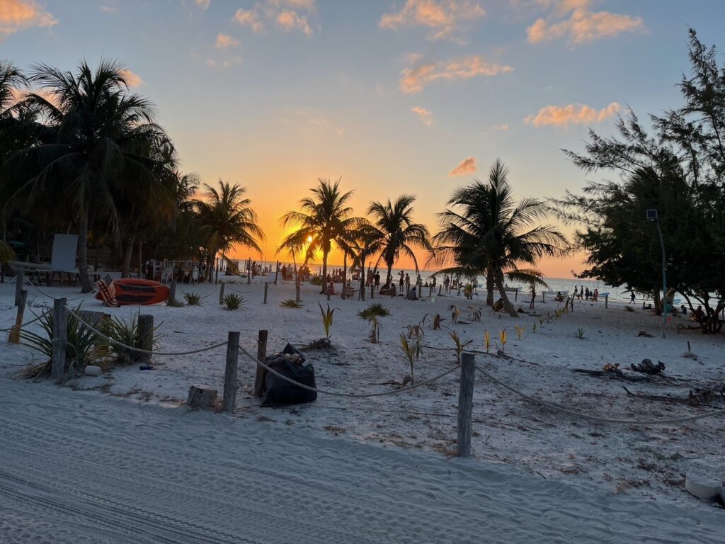 Isla Holbox feedback, Aardvark McLeod 
