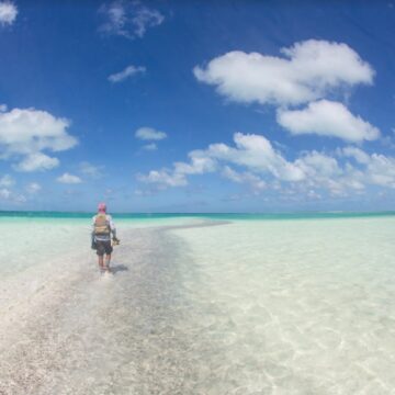 Christmas Island Lodge, Aardvark McLeod