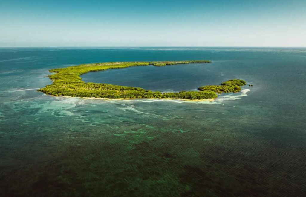 Jardines de la Reina, beyond fishing, Cuba, Aardvark McLeod