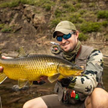 MMC Lesotho, South Africa, Yellowfish, Aardvark McLeod