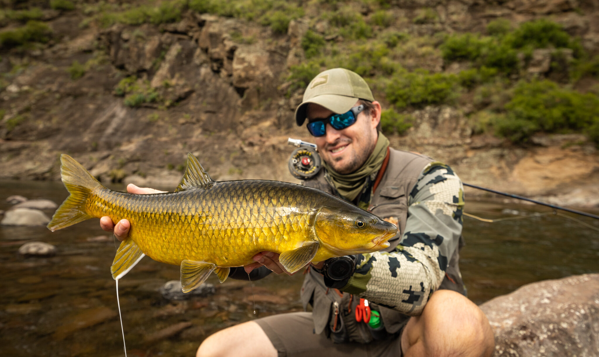 MMC Lesotho, South Africa, Yellowfish, Aardvark McLeod