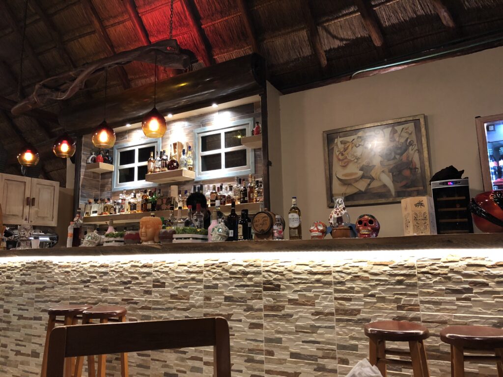 Isla Holbox feedback, Aardvark McLeod 