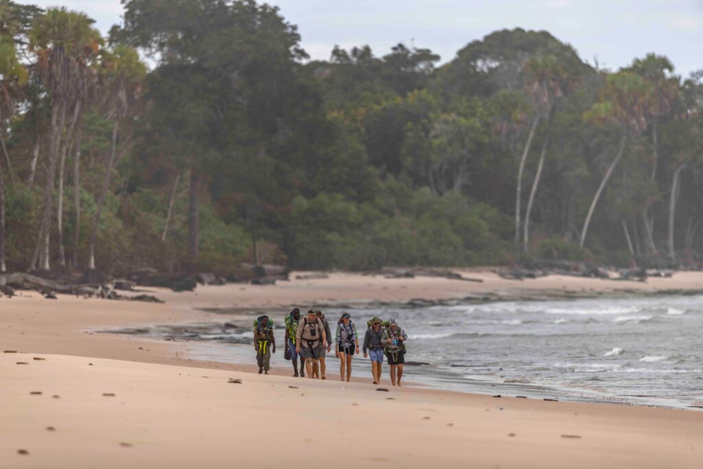 Sette Cama, Gabon Wilderness Experience, Aardvark McLeod