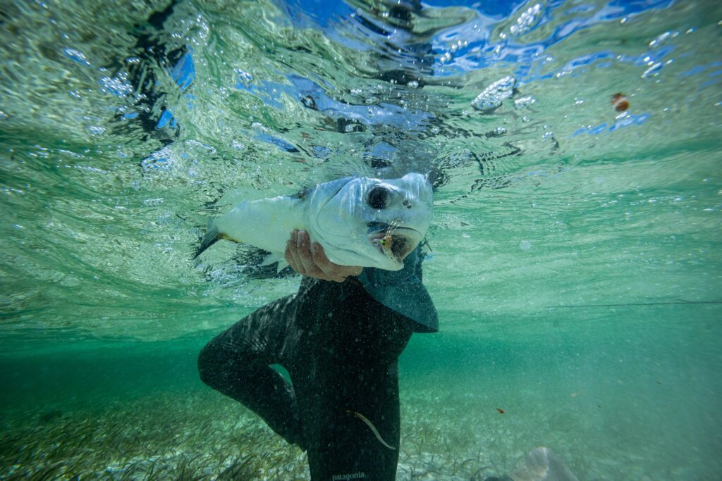 Soul Fly Lodge, Berry Islands, Aardvark McLeod