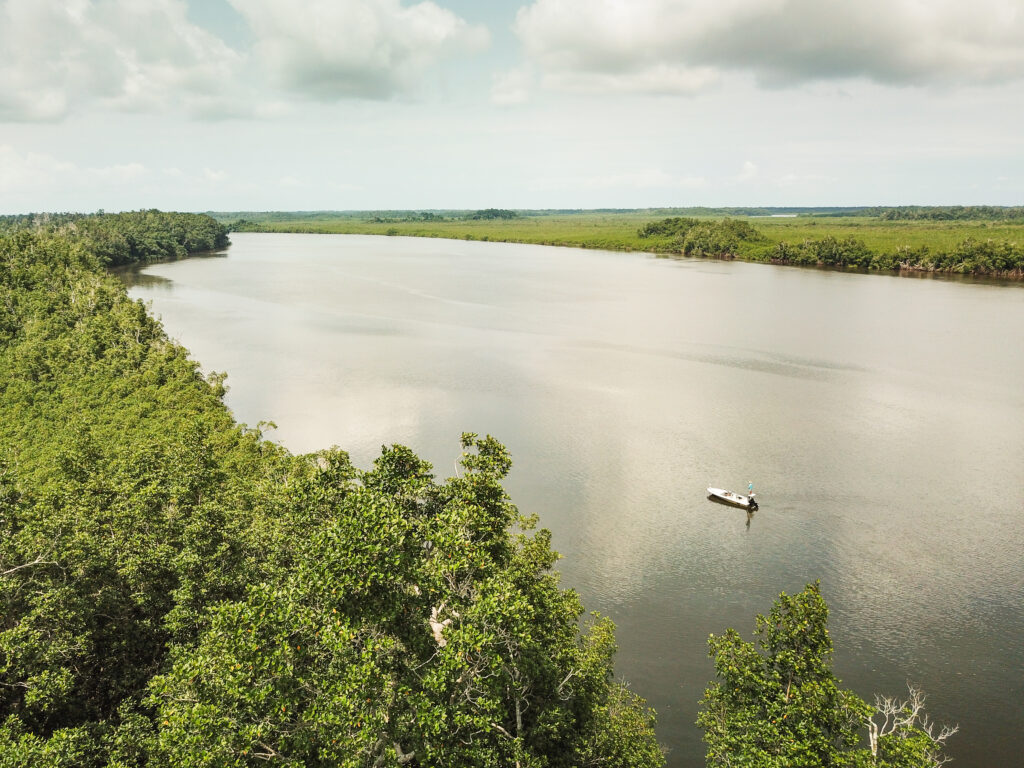 Port Gentil tarpon, Gabon fly fishing, Aardvark McLeod