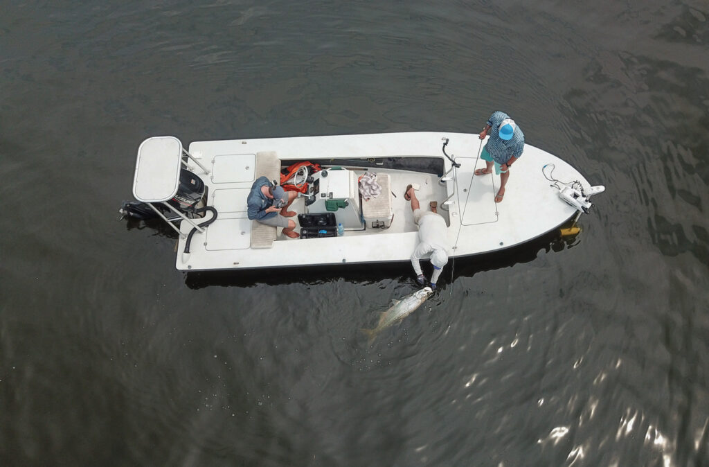 Port Gentil tarpon, Gabon fly fishing, Aardvark McLeod