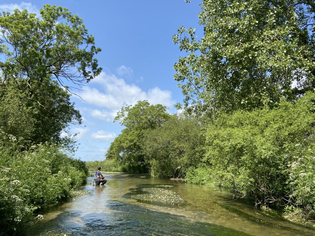 River Frome, chalkstream fly fishing, Aardvark McLeod