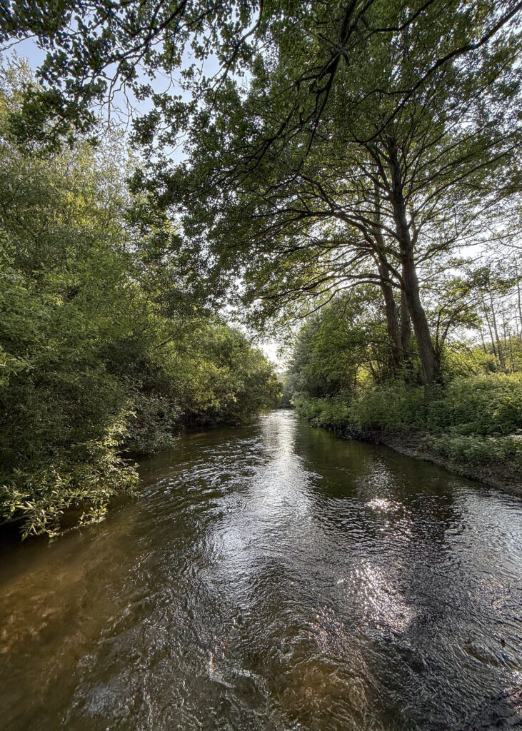 River Wylye at Langford Lakes, Chalkstream Fly Fishing, Aardvark McLeod