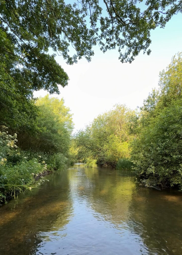 River Wylye at Langford Lakes, Chalkstream Fly Fishing, Aardvark McLeod