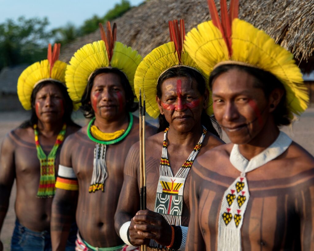 Kendjam Lodge, Brazil, Aardvark McLeod