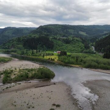 Gaula River, Norwegian Flyfishers Club, NFC, Norway, Atlantic salmon