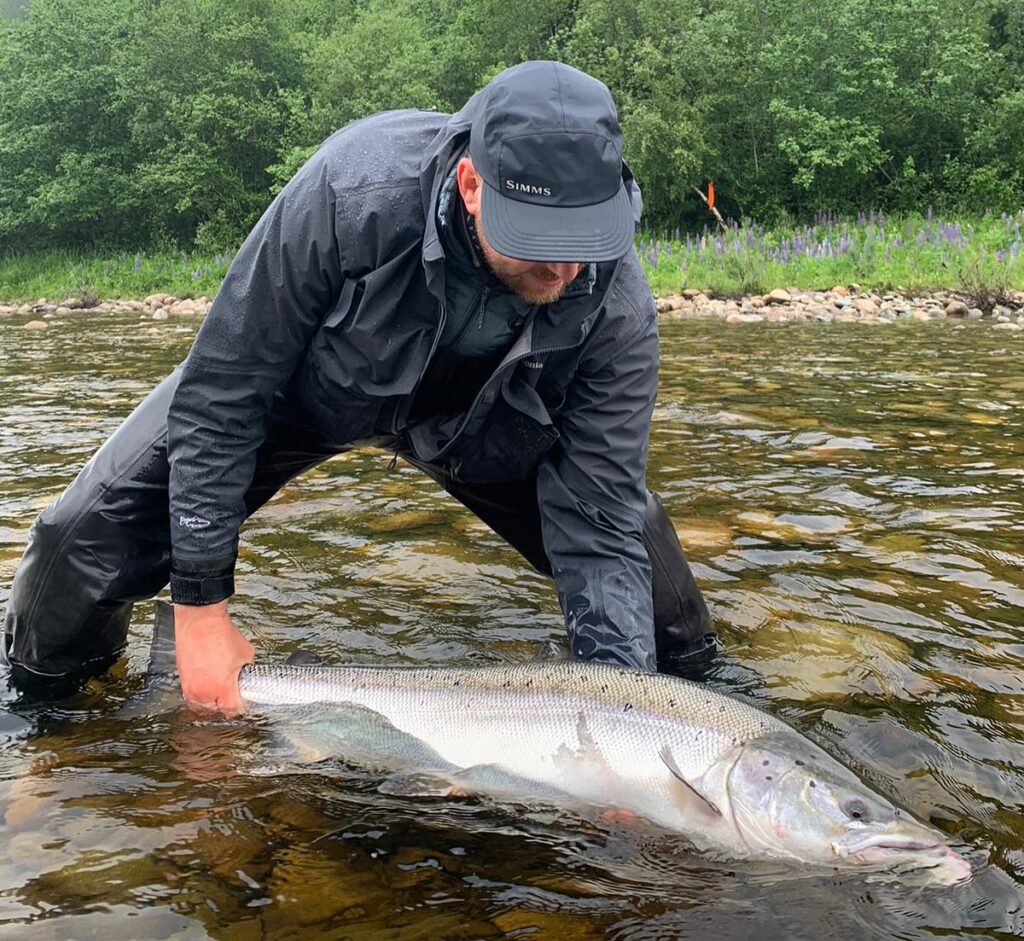Gaula River, Norwegian Flyfishers Club, NFC, Norway, Atlantic salmon