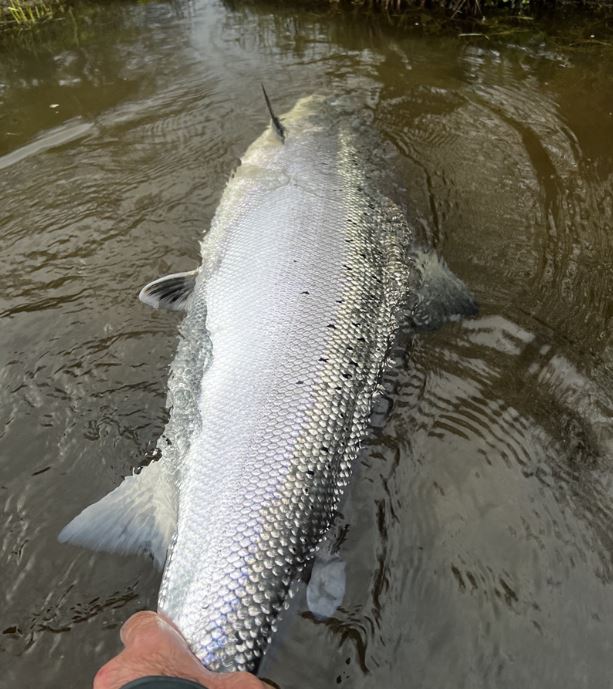 Namsentunet Fly Fishing Lodge, Namsen, Norway, fly fishing Norway, salmon fly fishing, Aardvark McLeod