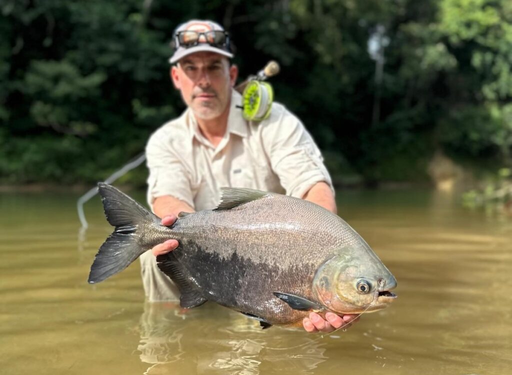 Bolivia 2025 season fishing reports. Agua Negra pacu