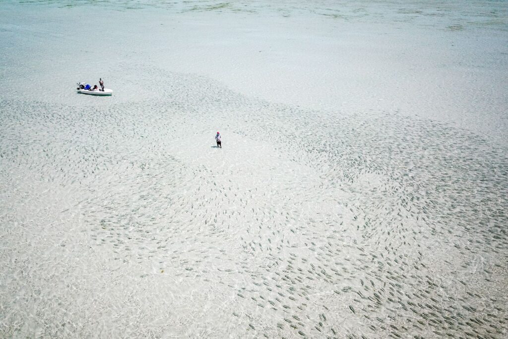 Seychelles, Alphonse Island, Explorer season fly fishing offer