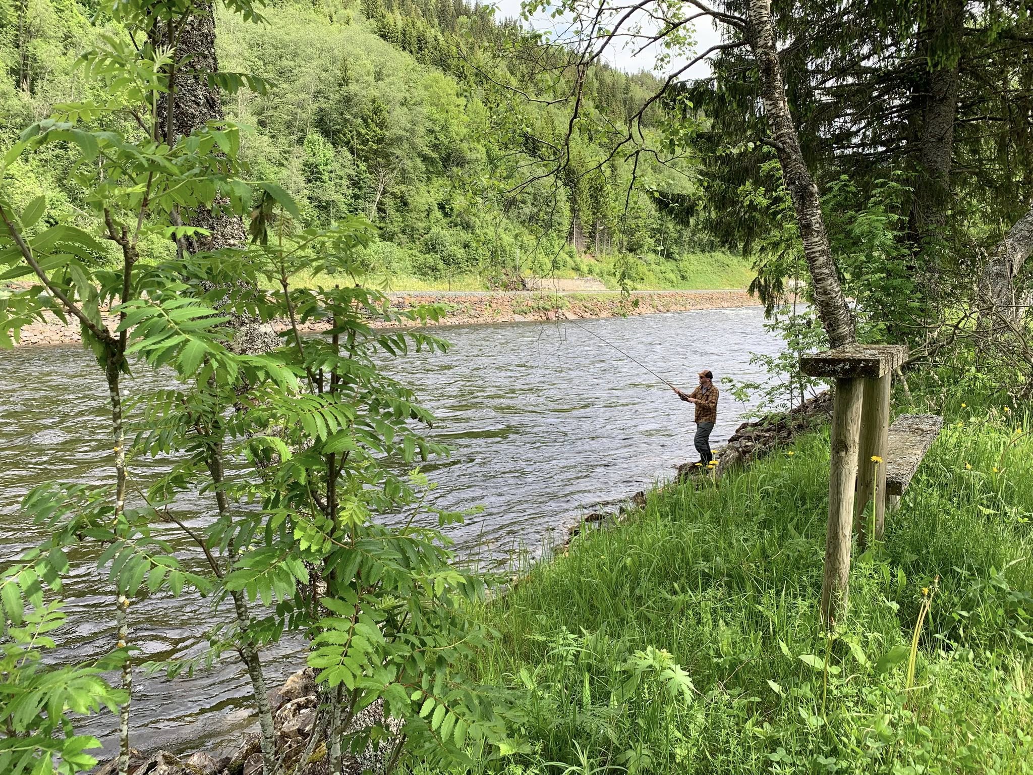 Gaula River Norway, Winsnes Lodge Norway, Atlantic salmon Norway, Salmon Fly Fishing Norway