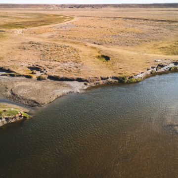 Kau Tapen, Argentina, Aardvark McLeod