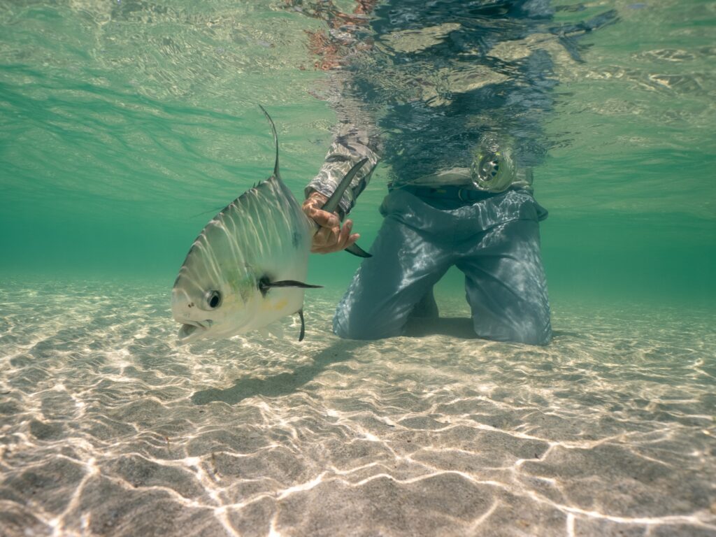Mexico, Mayazul Lodge, exciting flats action, Aardvark McLeod