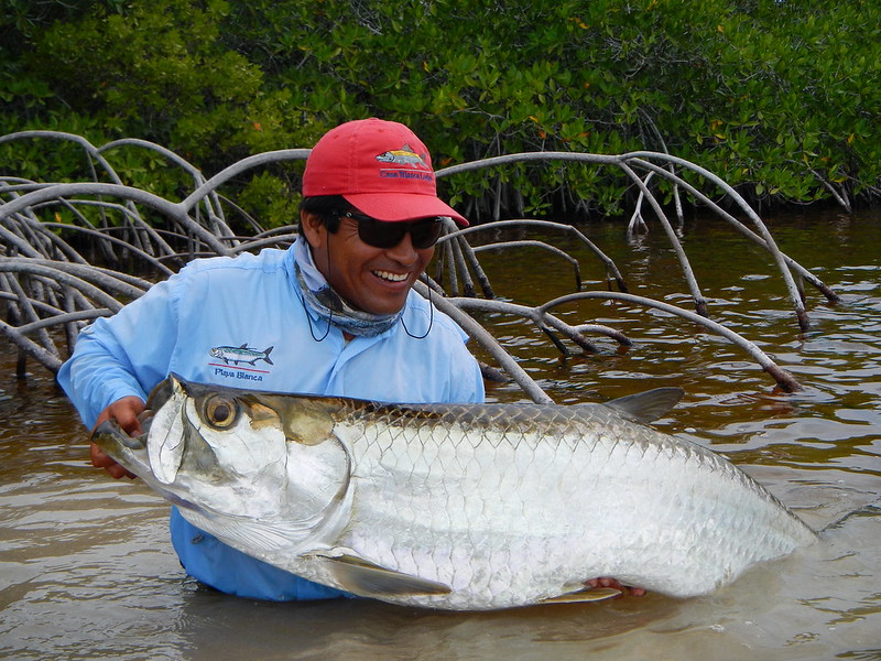 Casa Blanca and Playa Blanca, Ascension Bay, Mexico, Aardvark McLeod 