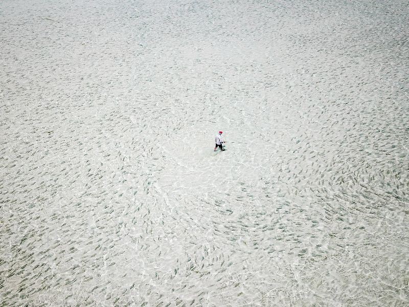 Seychelles, conservation in action. Bonefish, Aardvark McLeod