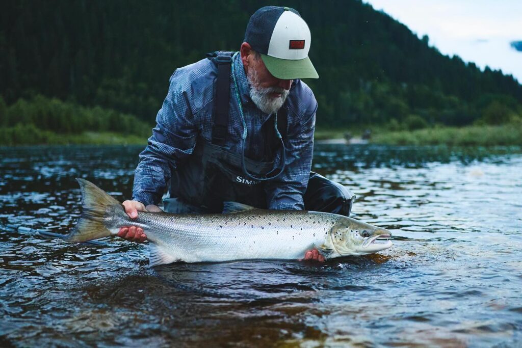 Gaula River, Norwegian Flyfishers Club, NFC, Norway, Atlantic salmon