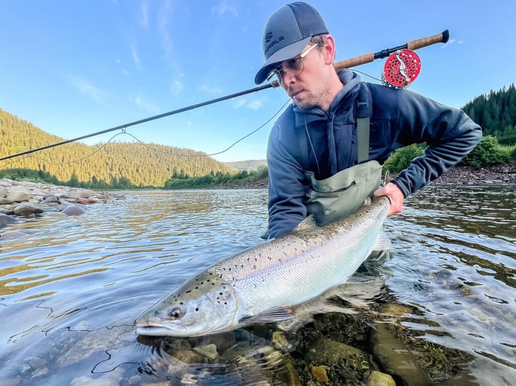 Gaula River, Norwegian Flyfishers Club, NFC, Norway, Atlantic salmon