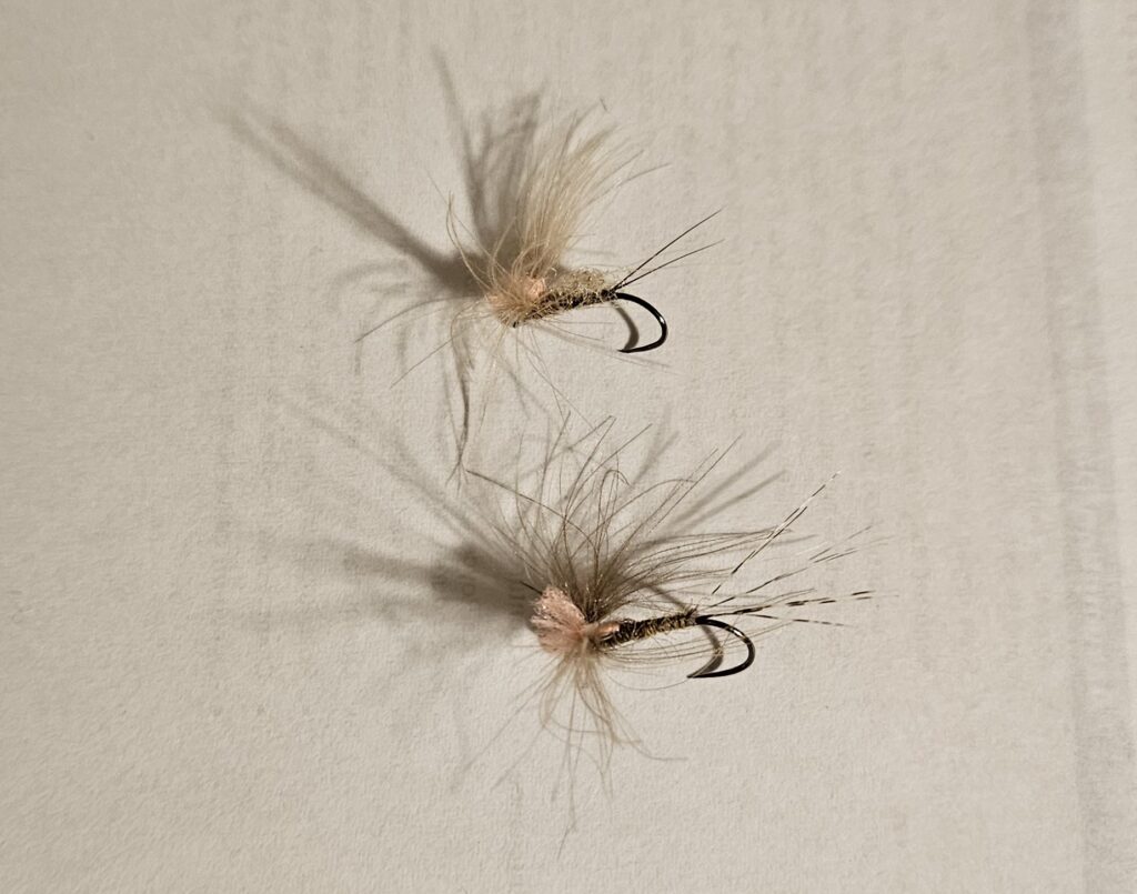Spanish Pyrenees, successful cdc mayfly, Aardvark McLeod