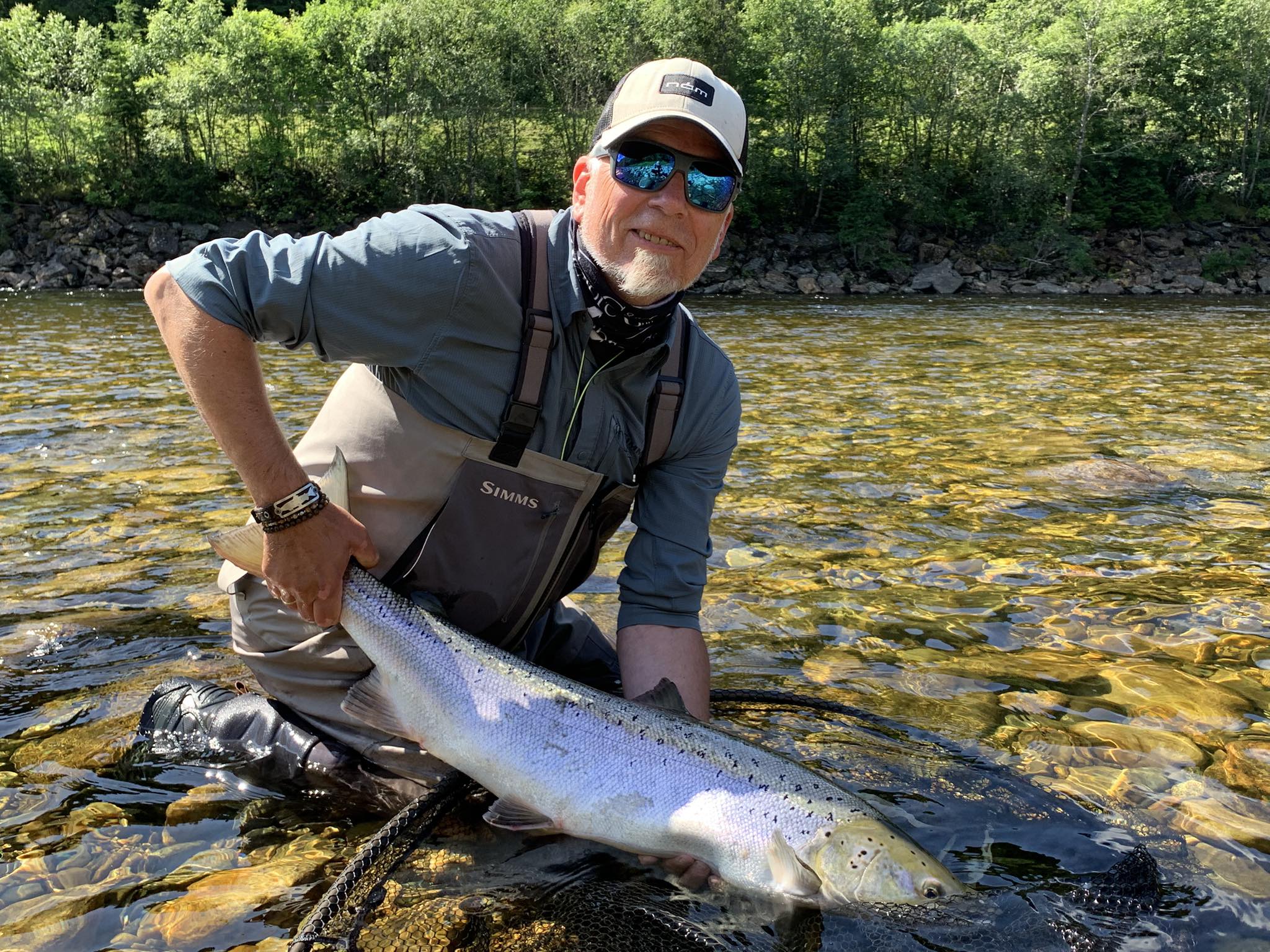 Gaula River Norway, Winsnes Lodge Norway, Atlantic salmon Norway, Salmon Fly Fishing Norway