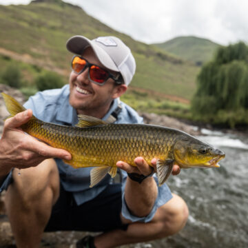 Lesotho, Yellow fish, MCC, Aardvark McLeod