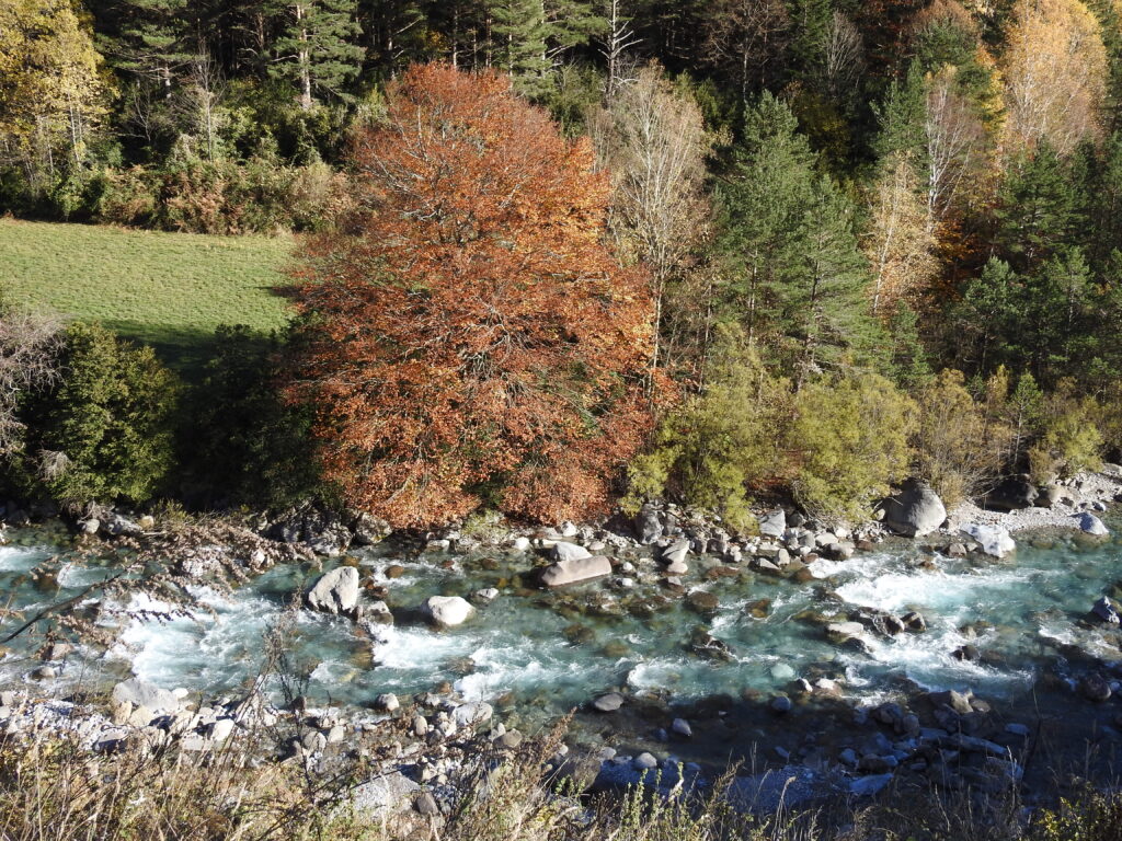 Spanish Pyrenees autumn trout fishing, Aardvark McLeod 