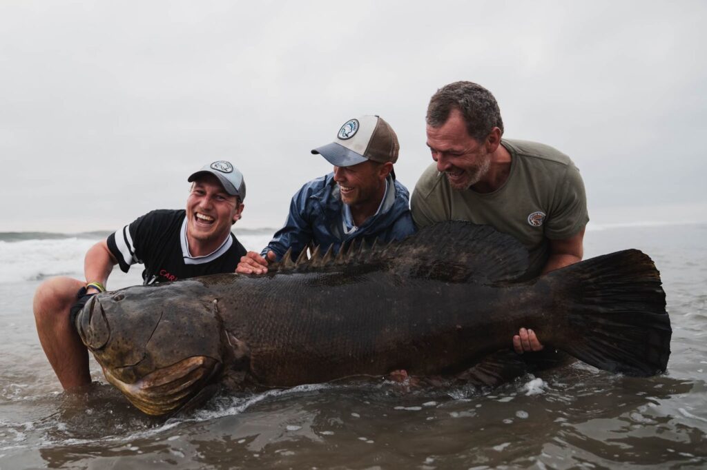 Giant grouper, Sette Cama Lodge, Gabon, Aardvark McLeod 