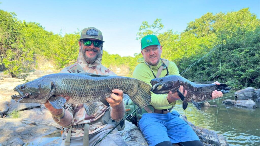 Brazil, Kendjam 2025 season fishing reports, Aardvark McLeod