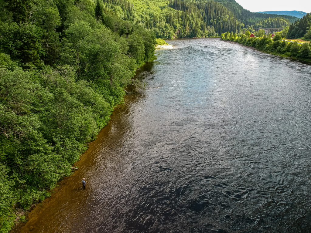 Norway salmon fishing, searching for silver, Aardvark McLeod