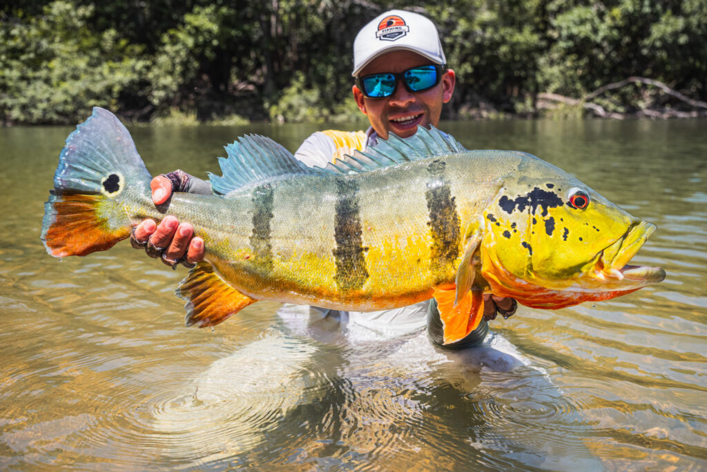 Peacock Bass, Orinoco River Lodge, Colombia fly fishing, Aardvark McLeod 