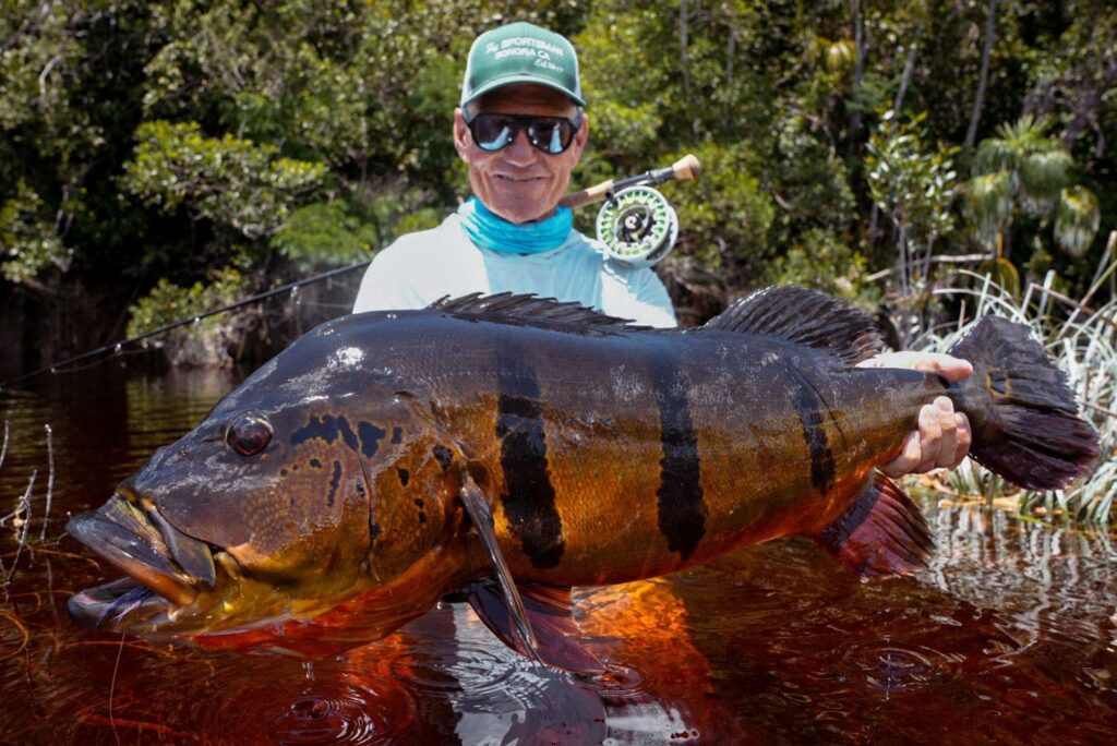 Rio Marie, Brazil, peacock bass, 2025/26 fishing reports