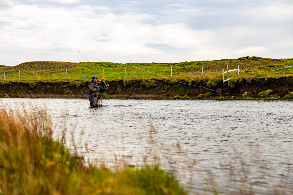 Hitara, Iceland, Aardvark McLeod